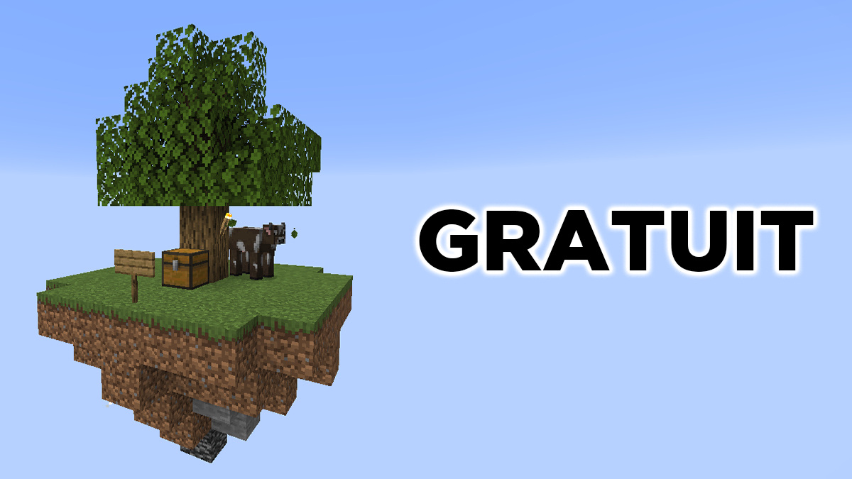 Jouer à un Skyblock Minecraft en multijoueur gratuitement